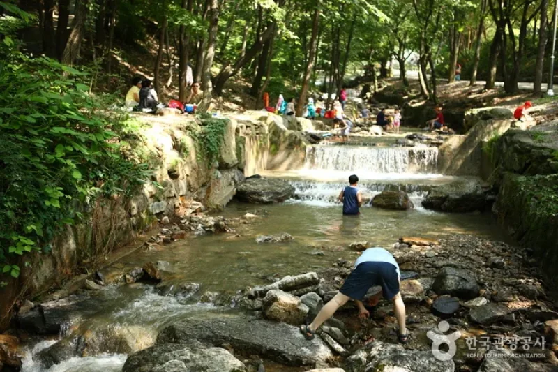 Natural Camp Site in Seoul Grand Park  (4/13)