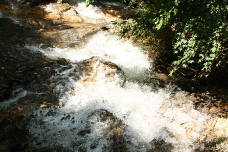 Natural Camp Site in Seoul Grand Park  (5/13)