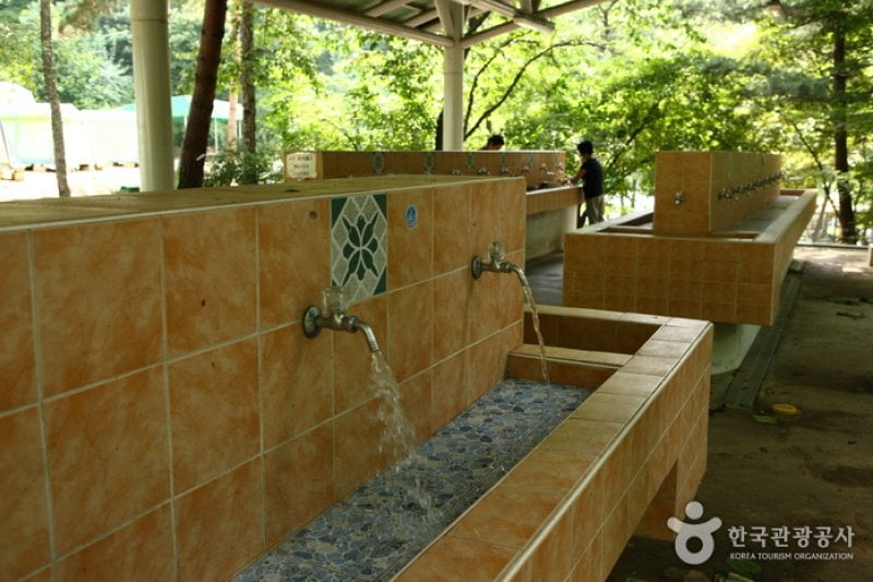 Natural Camp Site in Seoul Grand Park  (6/13)