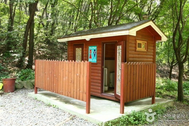 Natural Camp Site in Seoul Grand Park  (7/13)