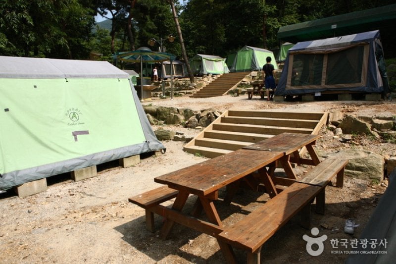 Natural Camp Site in Seoul Grand Park  (9/13)