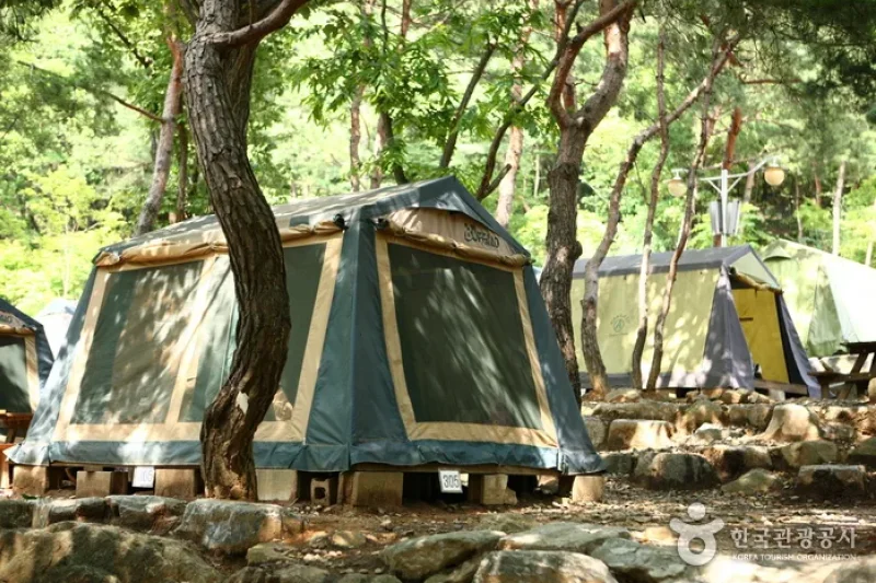 Natural Camp Site in Seoul Grand Park  (12/13)