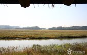 Ansan Reed Marsh Park (안산갈대습지공원)