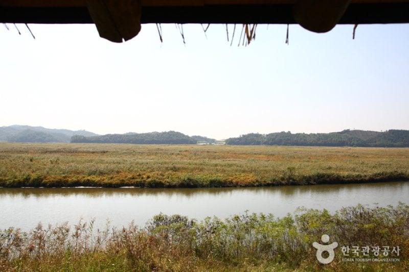 Ansan Reed Marsh Park (안산갈대습지공원) (1/1)