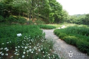 The Kwanak Arboretum of Seoul National University 