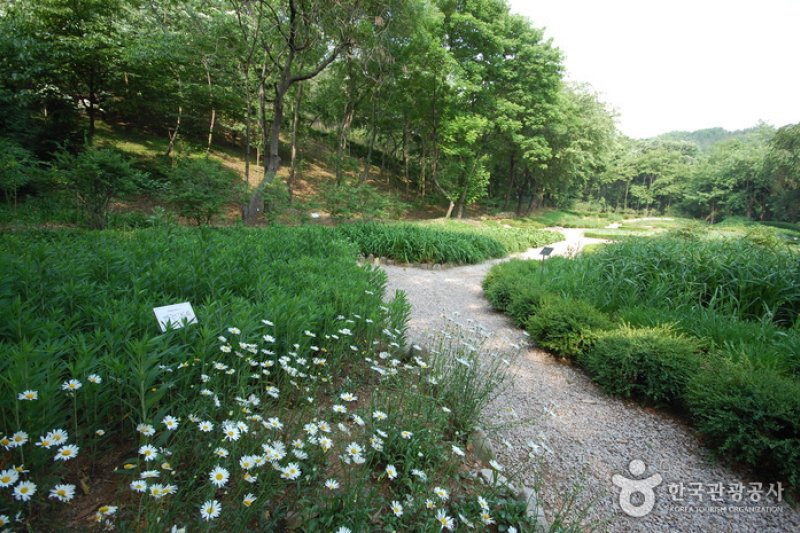 The Kwanak Arboretum of Seoul National University  (1/6)