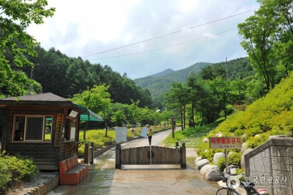 Myeongjisan Mountain County Park