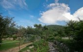 Yumyeongsan Mountain (Mayusan Mountain) (유명산)