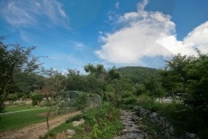 Yumyeongsan Mountain (Mayusan Mountain) (유명산)