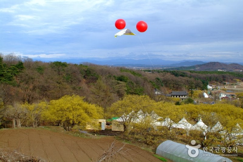 Icheon Sansuyu Village  (2/7)