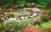 Spring Festival of The Garden of Morning Calm 