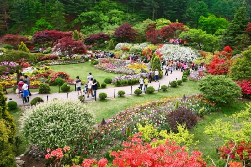 Spring Festival of The Garden of Morning Calm  (3/5)