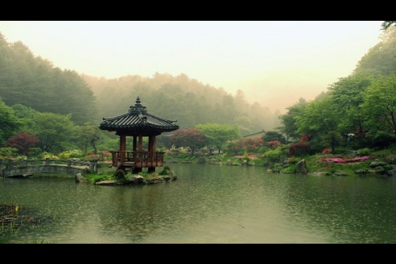 Spring Festival of The Garden of Morning Calm  (4/5)