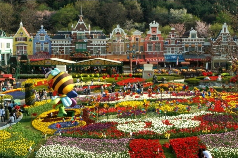 Everland Tulip Festival (에버랜드 튤립축제) (2/8)