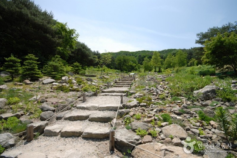 Pyunggang Botanical Garden  (8/14)