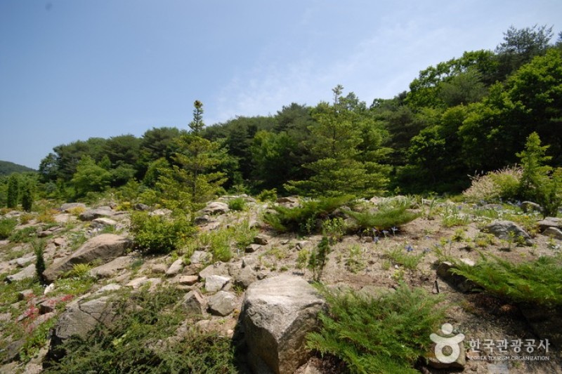 Pyunggang Botanical Garden  (9/14)