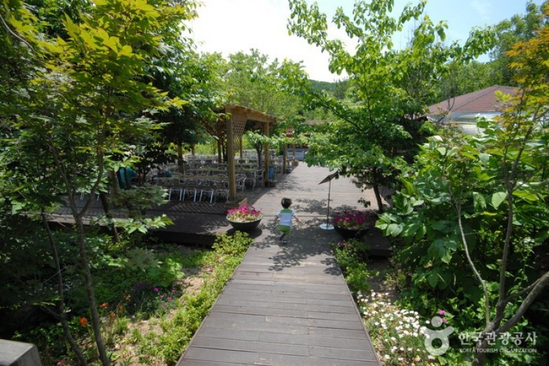 Pyunggang Botanical Garden  (14/14)
