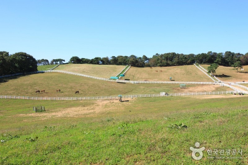 Wondang Horse Ranch  (1/15)