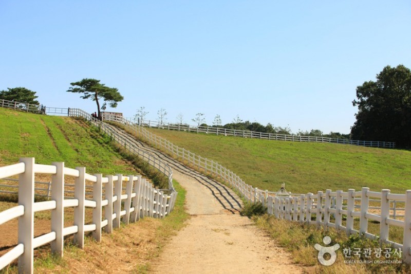 Wondang Horse Ranch  (3/15)
