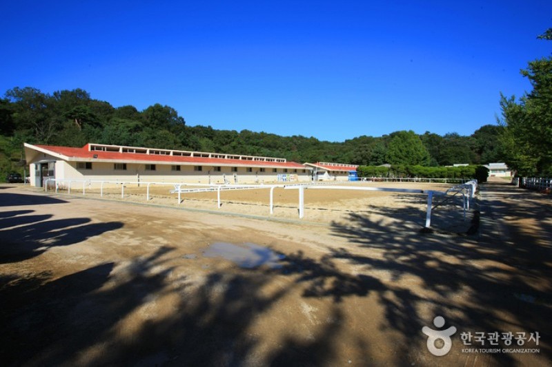 Wondang Horse Ranch  (7/15)