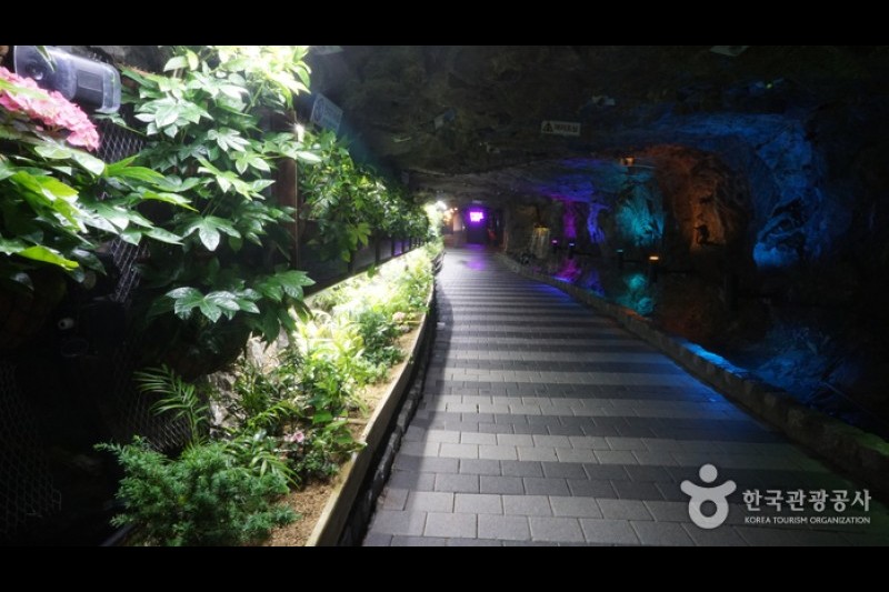 Gwangmyeong Cave  (7/14)