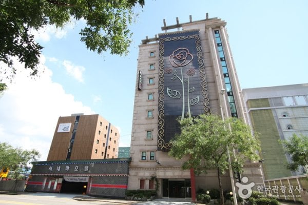 Cinema