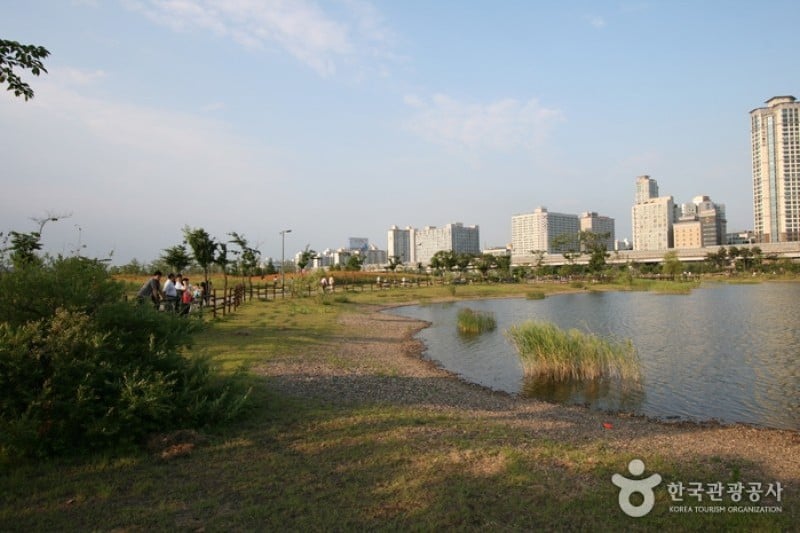 Sangdong Lake Park  (4/6)
