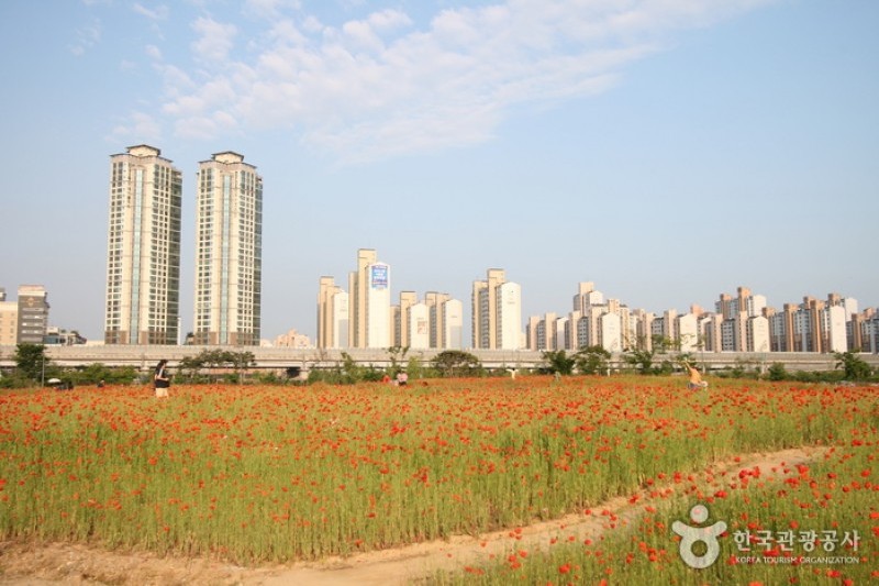 Sangdong Lake Park  (5/6)