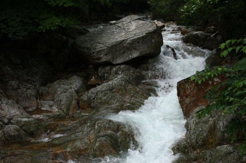 Jungwon Falls  (8/12)