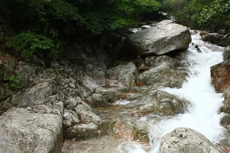Jungwon Falls  (10/12)