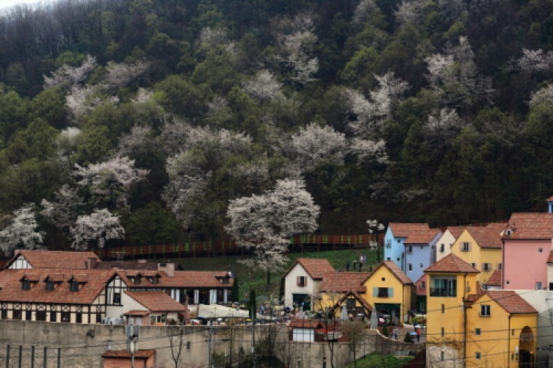 Petite France  (28/28)