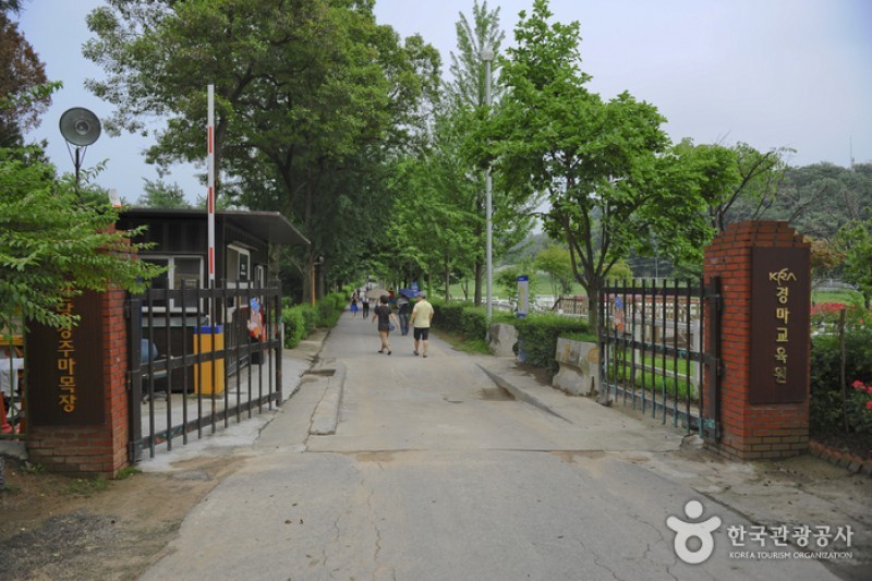 Wondang Horse Ranch  (12/15)