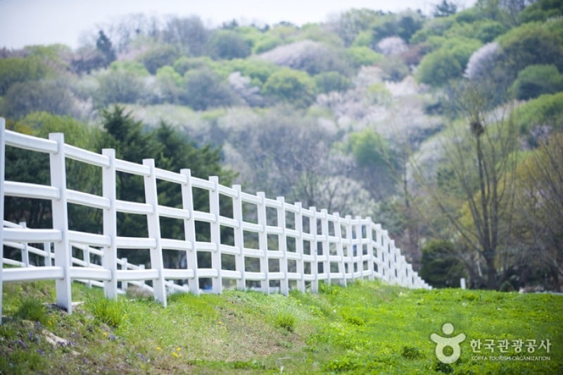 Wondang Horse Ranch  (13/15)