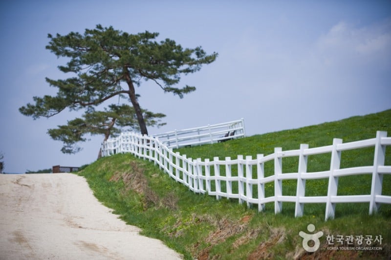 Wondang Horse Ranch  (15/15)