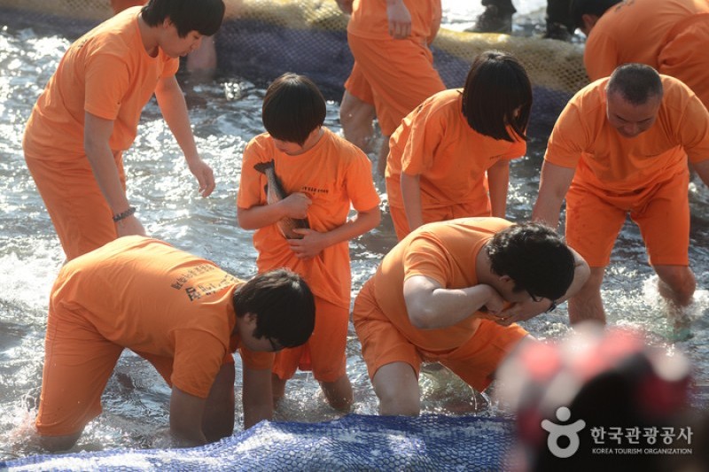 Cheongpyeong Snowflake Festival  (8/9)
