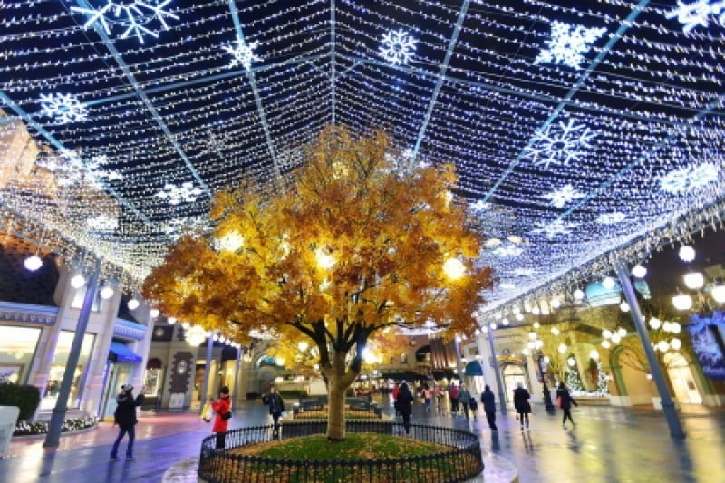 Everland Christmas Fantasy  (1/11)