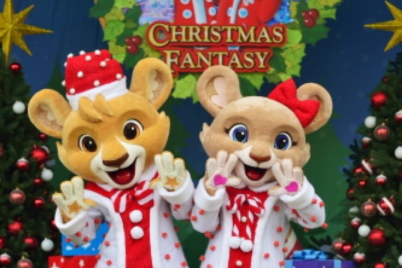 Everland Christmas Fantasy  (2/11)