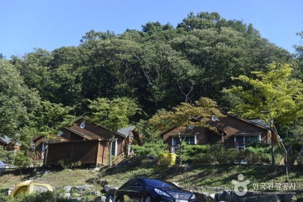 Yongin Recreational Forest