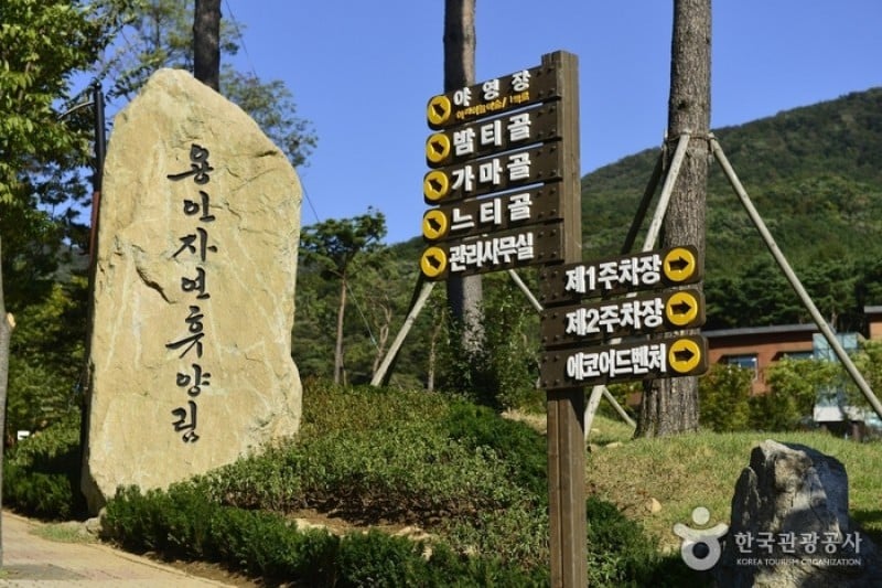 Yongin Recreational Forest  (3/4)