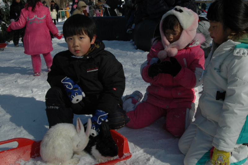 Pocheon Baegun Valley Dongjangkun Festival  (2/13)
