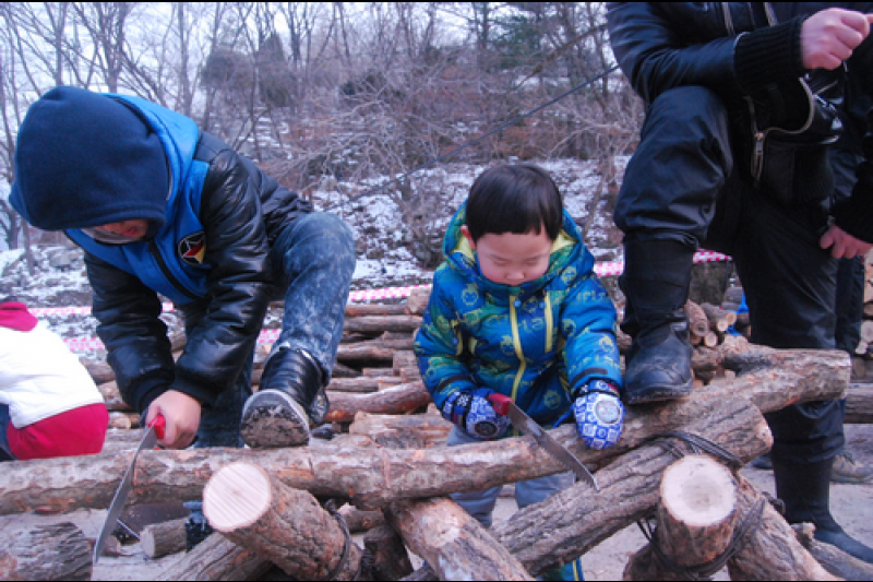 Pocheon Baegun Valley Dongjangkun Festival  (5/13)