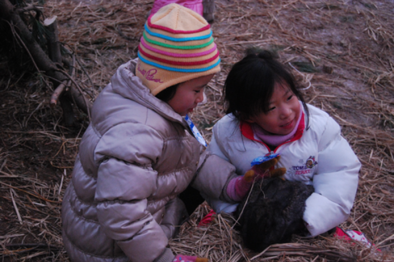 Pocheon Baegun Valley Dongjangkun Festival  (10/13)