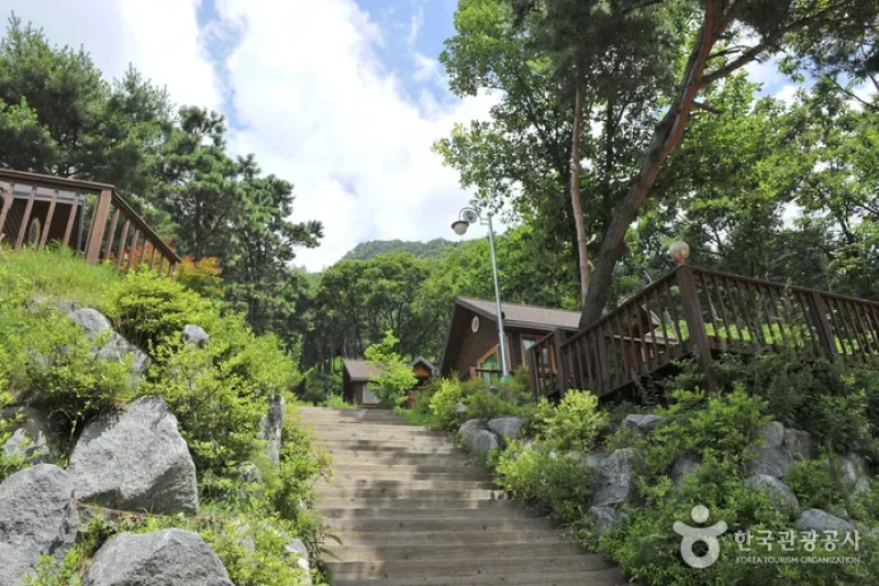 Yongmunsan Natural Recreational Forest  (2/6)