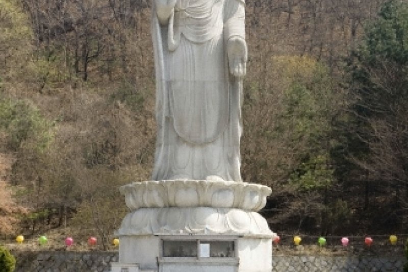 Bogwangsa Temple  (8/49)