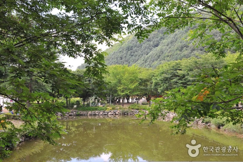 Eobi Valley  (2/7)