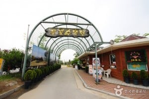 Yangpyeong Wild Flower Arboretum 