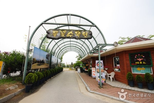 Yangpyeong Wild Flower Arboretum