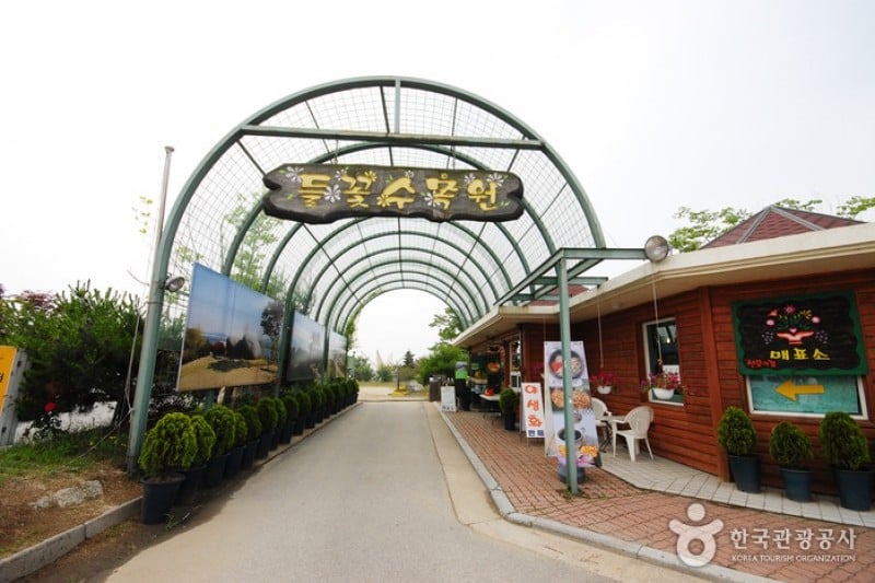 Yangpyeong Wild Flower Arboretum  (1/20)