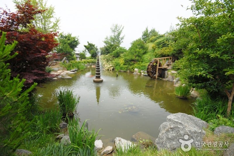 Yangpyeong Wild Flower Arboretum  (2/20)