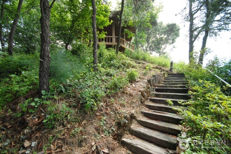 Yangpyeong Wild Flower Arboretum  (4/20)